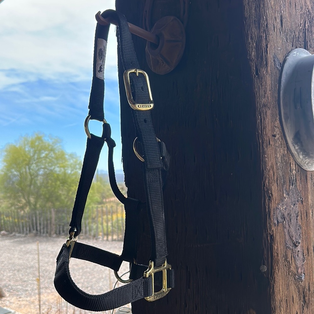 NWOT Weaver Yearling Halter